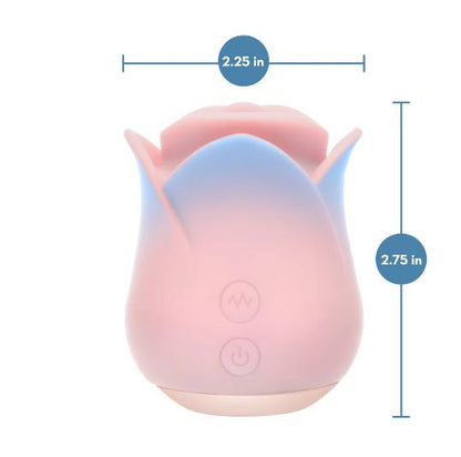 BLUSH KISSING ROSE PINK