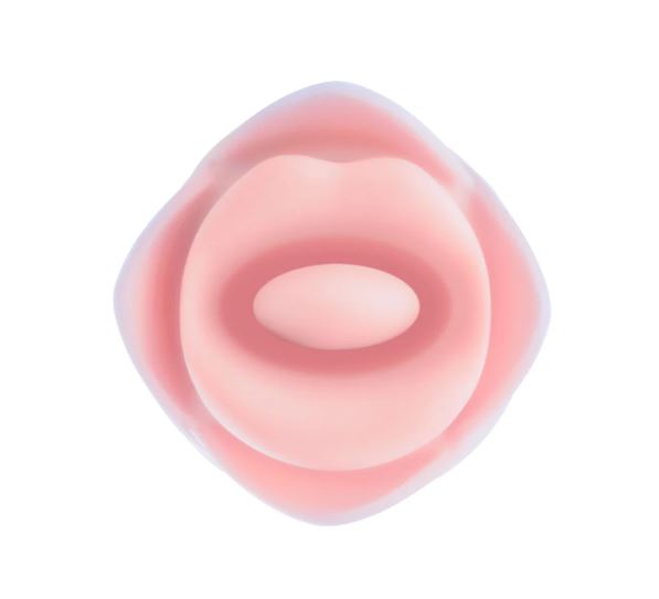 BLUSH KISSING ROSE PINK