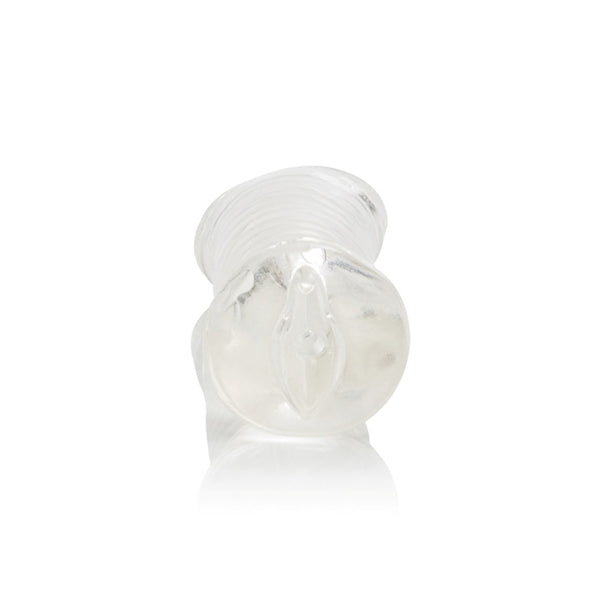 (BULK) BASIC ESSENTIALS PUSSY