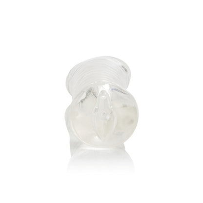 (BULK) BASIC ESSENTIALS PUSSY