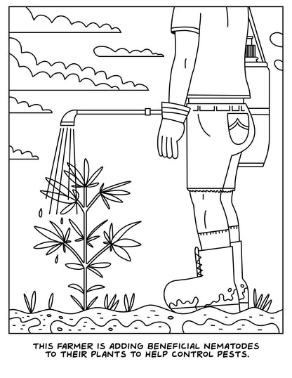 A VISIT TO THE CANNABIS FARM COLORING BOOK (NET)