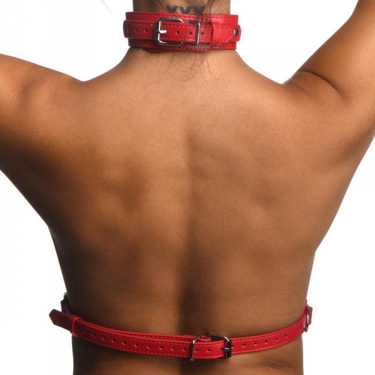 STRICT FEMALE CHEST HARNESS M/L RED