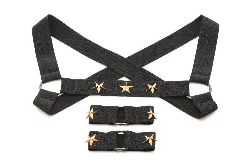 MASTER SERIES ELASTIC CHEST HARNESS W/ ARM BANDS S/M