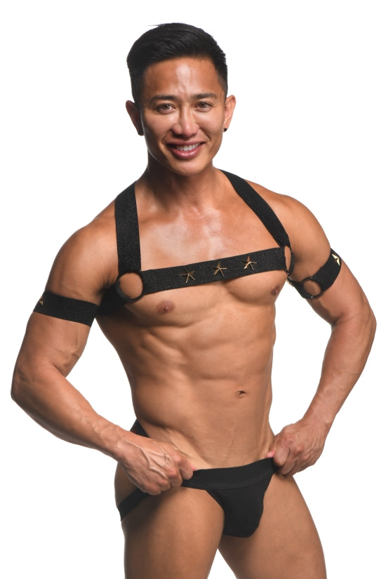 MASTER SERIES ELASTIC CHEST HARNESS W/ ARM BANDS S/M