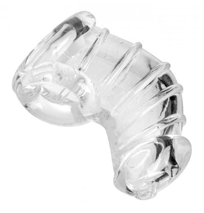 MASTER SERIES DETAINED CHASTITY CAGE